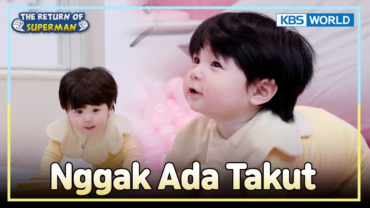 Sifat Kompetitif Haru Mulai Muncul 🔥 | The Return of Superman [IND/ENG] | KBS WORLD TV 251214