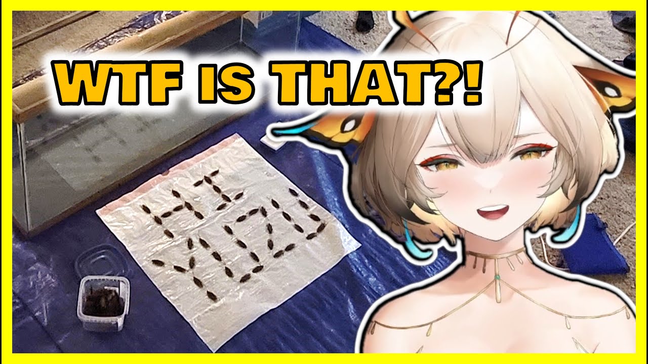 YUZU ROASTS MY DISGUSTING ROOM (and my defense)