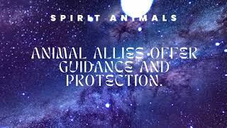 Sacred Pathways: Navigating the Universe's Mysteries Part 1
