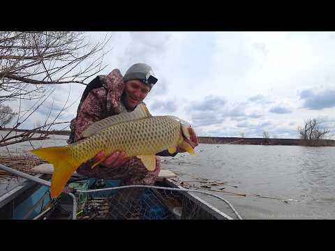 ПОД КОРЯГУ ЗАБРОСИЛ, СПИННИНГ УНОСИТ. ДЕЛЬТА ВОЛГИ. Рыбалка на сазана и жереха. Астраханская вобла.