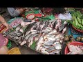 Compilation Morning Food Market in Phnom Penh City - Walking Tour Around Food Market in The Morning