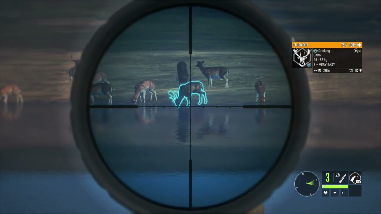 Te awroa Melanistic mallard #hcotw 