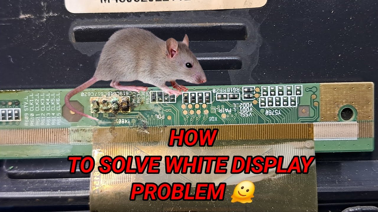 HOW TO SOLVE IGO LED TV WHITE DISPLAY PROBLEM .43 INCH WHITE DISPLAY ...