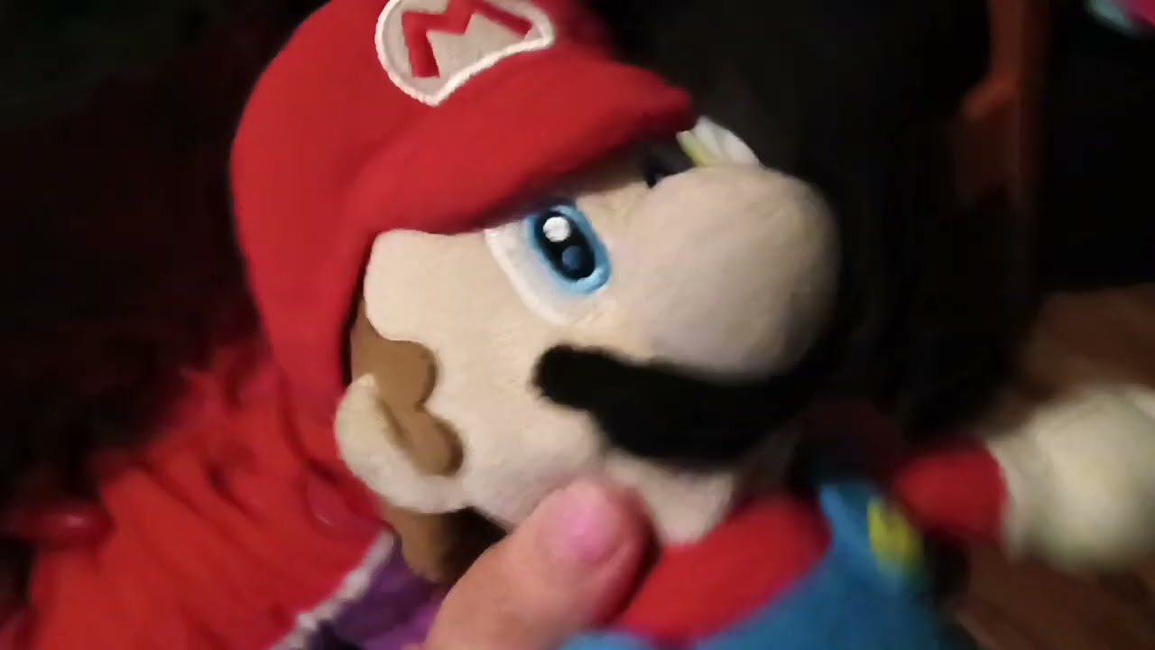 Mario didn't watch the Disney DVD logo