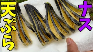 【なすの天ぷら】畑で収穫したナスを天ぷらにする！！【ASMR】