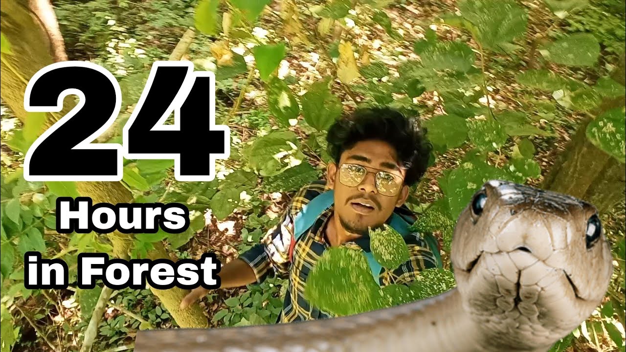 Original Title & Thumbnail