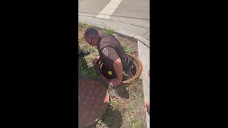 Outagamie Co. Sheriff saves ducklings