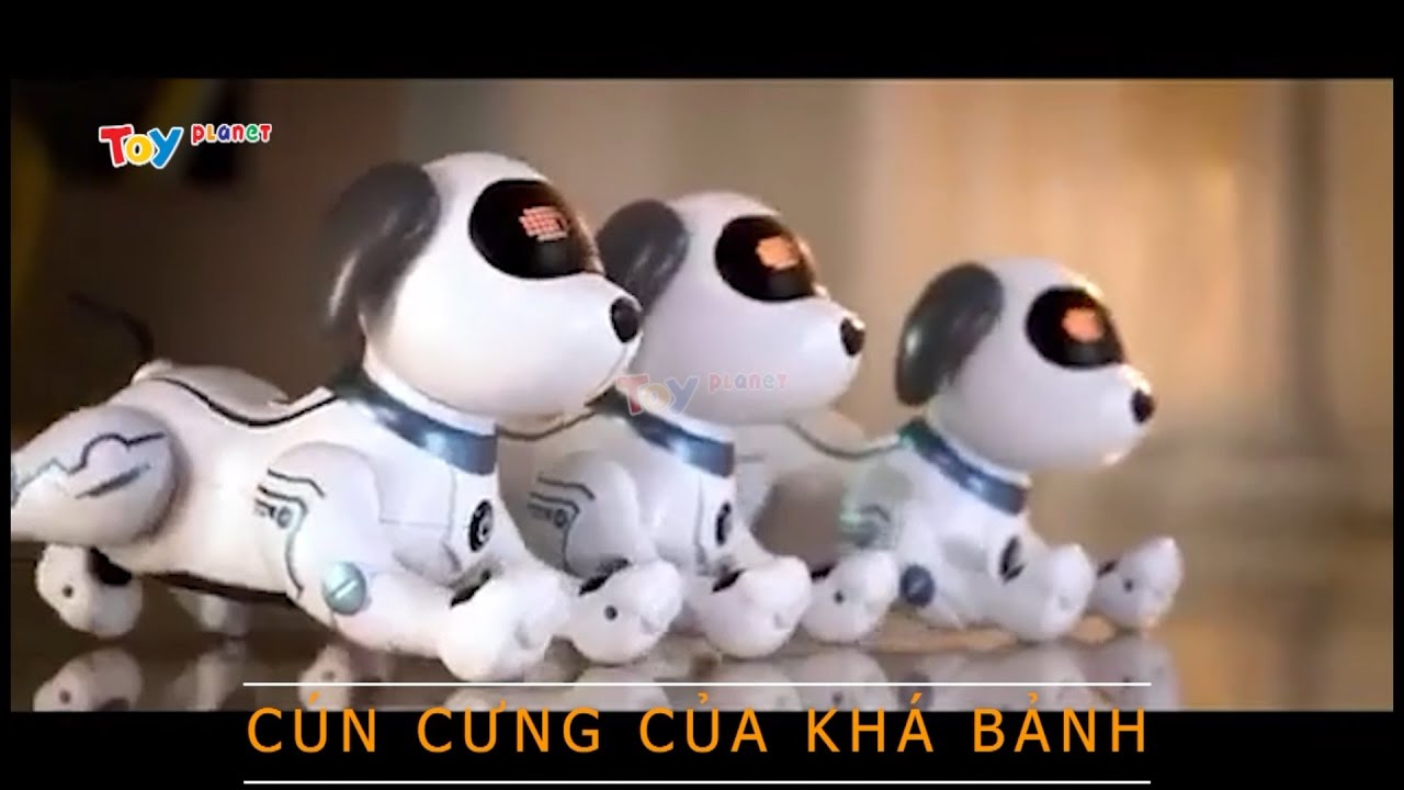 Chú Chó Khá Bảnh Biết Nhảy Múa - Stunt Dog