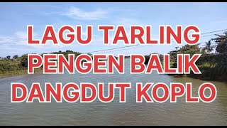 LAGU TARLING PENGEN BALIK DANGDUT KOPLO