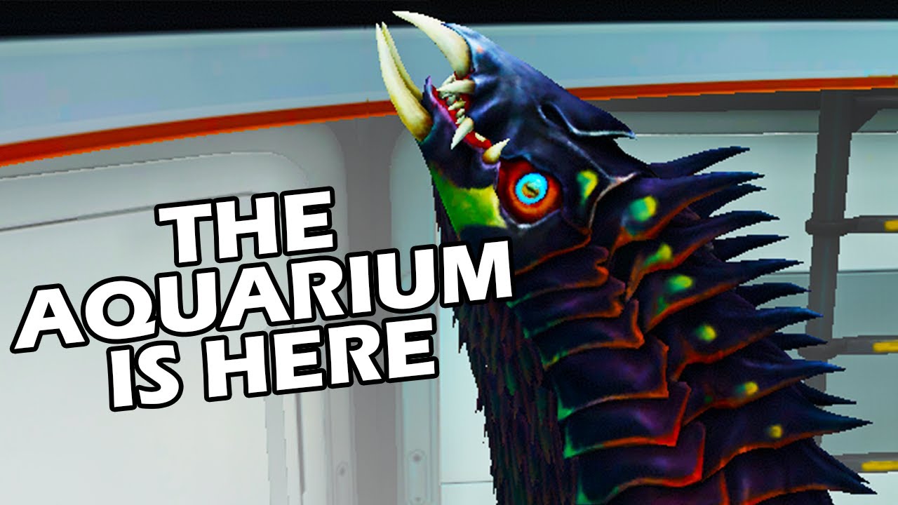 It's finally time...