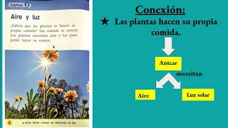 Lectura en Espanol Jazmin Bonilla Que necesitan las plantas para ninos Read alou