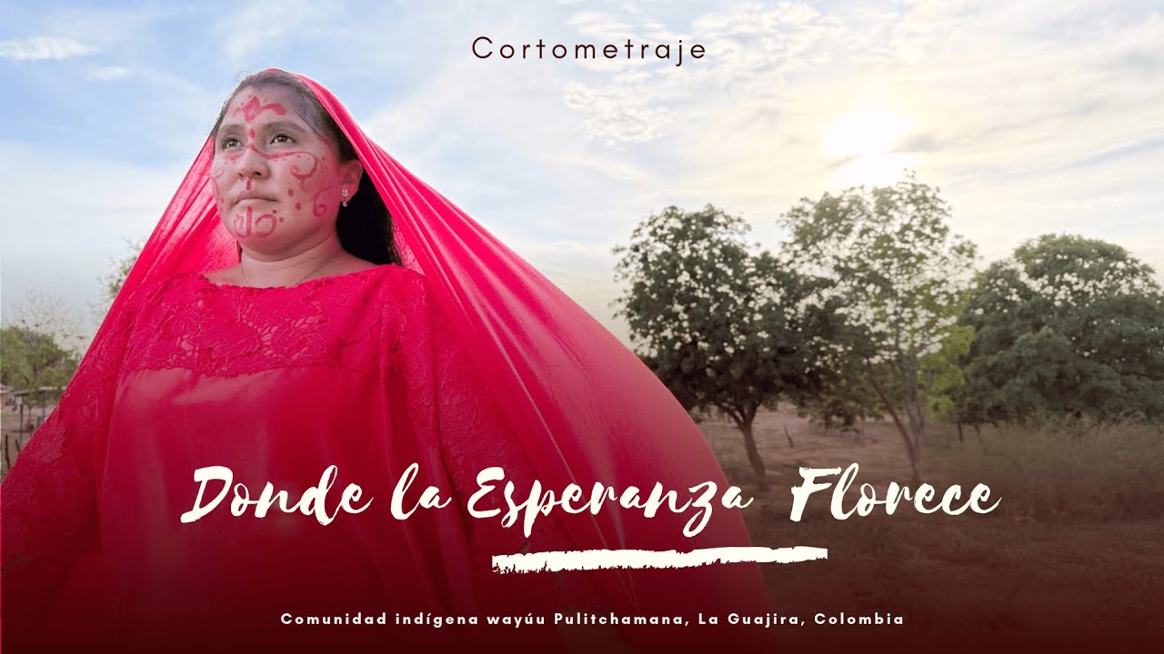 #FestivalDePlataFIMLM | ​​Там, где расцветает надежда | Короткометражный фильм LA GUAJIRA 🇨🇴