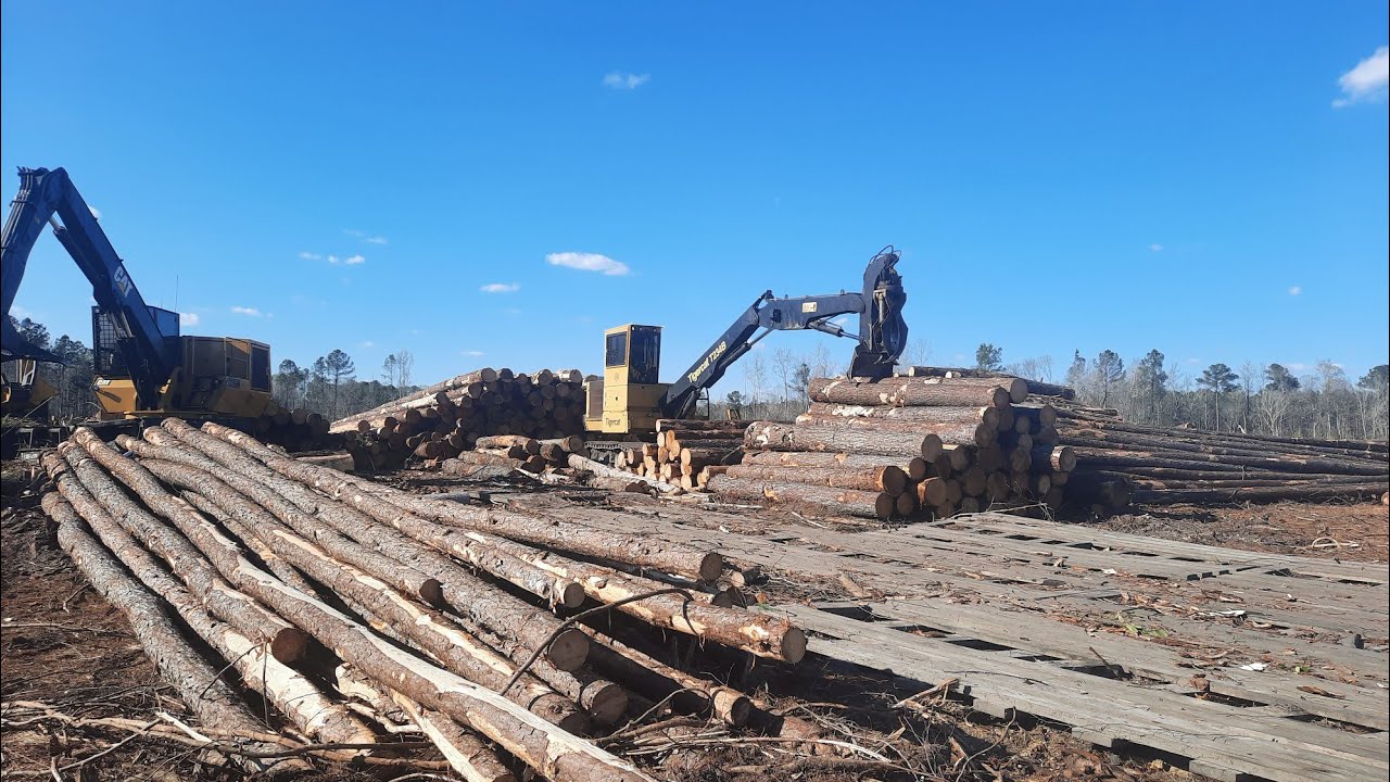 Heavy Equipment Logging Operation - YouTube