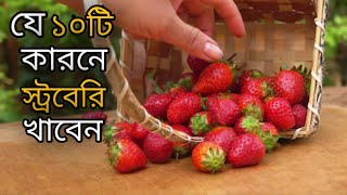 যে ১০টি কারনে স্ট্রবেরি খাবেন-10 super health benefits of strawberries-স্ট্রবেরির উপকারিতা। screenshot 1