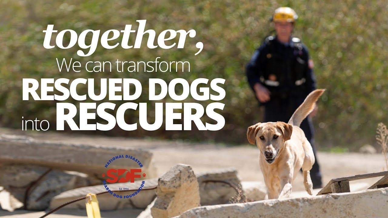 Mike Bruce & Cooper interview and drone search from Search Dog Foundation's National Training Center