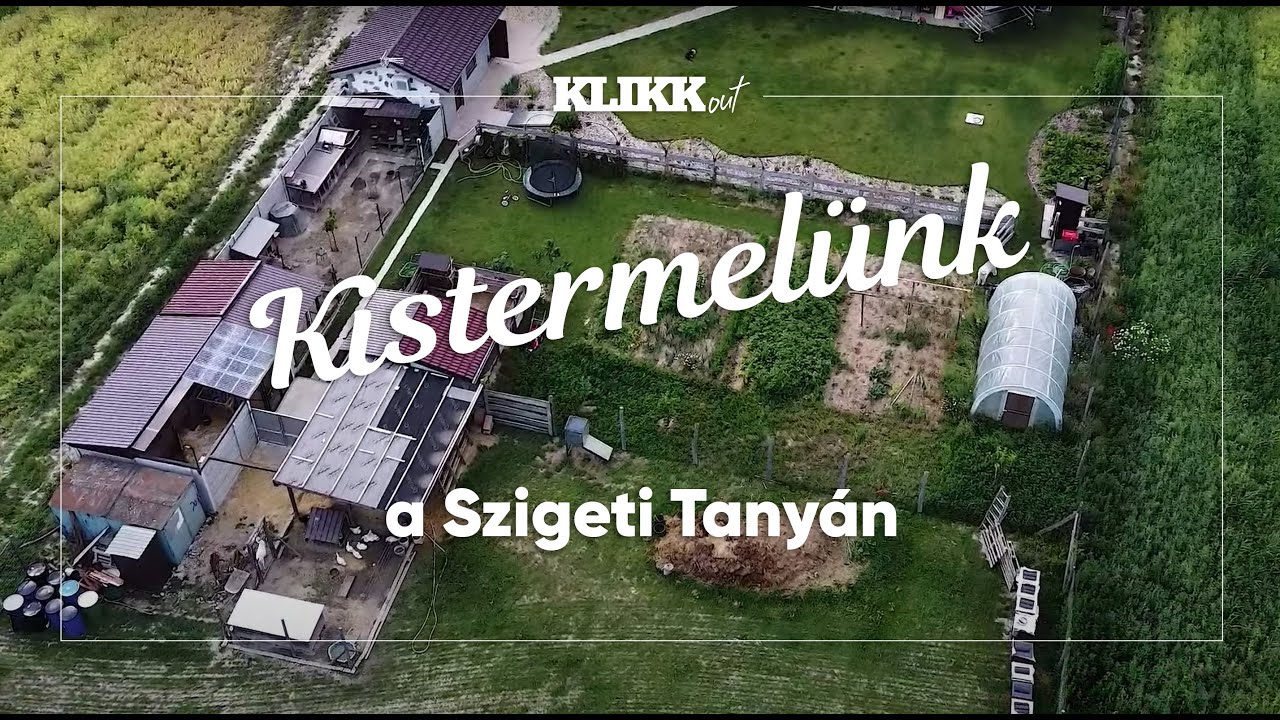 Kistermelünk - A Szigeti Tanyán