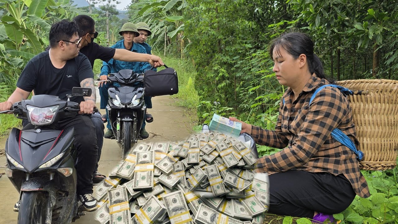 Брошенный чемодан гангстеров и жуткая тайна, ожидающая мать-одиночку