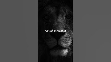 Make everyday yours. #apexstoicism