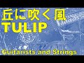 丘に吹く風/TULIP