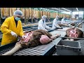 Inside the Ostrich Leather Factory 😱🦢 | From Farm to Million-Dollar Luxury Jackets (Full Process)