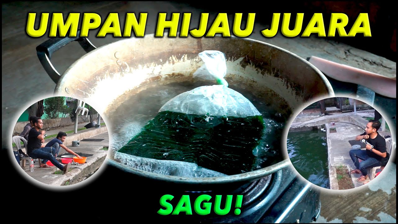 TUTORIAL MEMBUAT UMPAN HIJAU JUARA!! GACOR!!