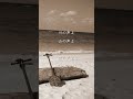 海の声 桐谷健太 BEGIN