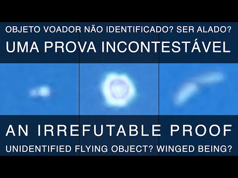 OVNI? SER ALADO? – Uma prova incontestável | UFO? WINGED BEING? - An irrefutable proof