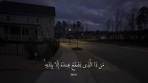 عبد الرحمن مسعد ( سورة البقرة ) اللَّه لَا إِلَٰهَ إِلَّا هُوَ الْحَيُّ الْقَيُّومُ ( آية الكرسي )