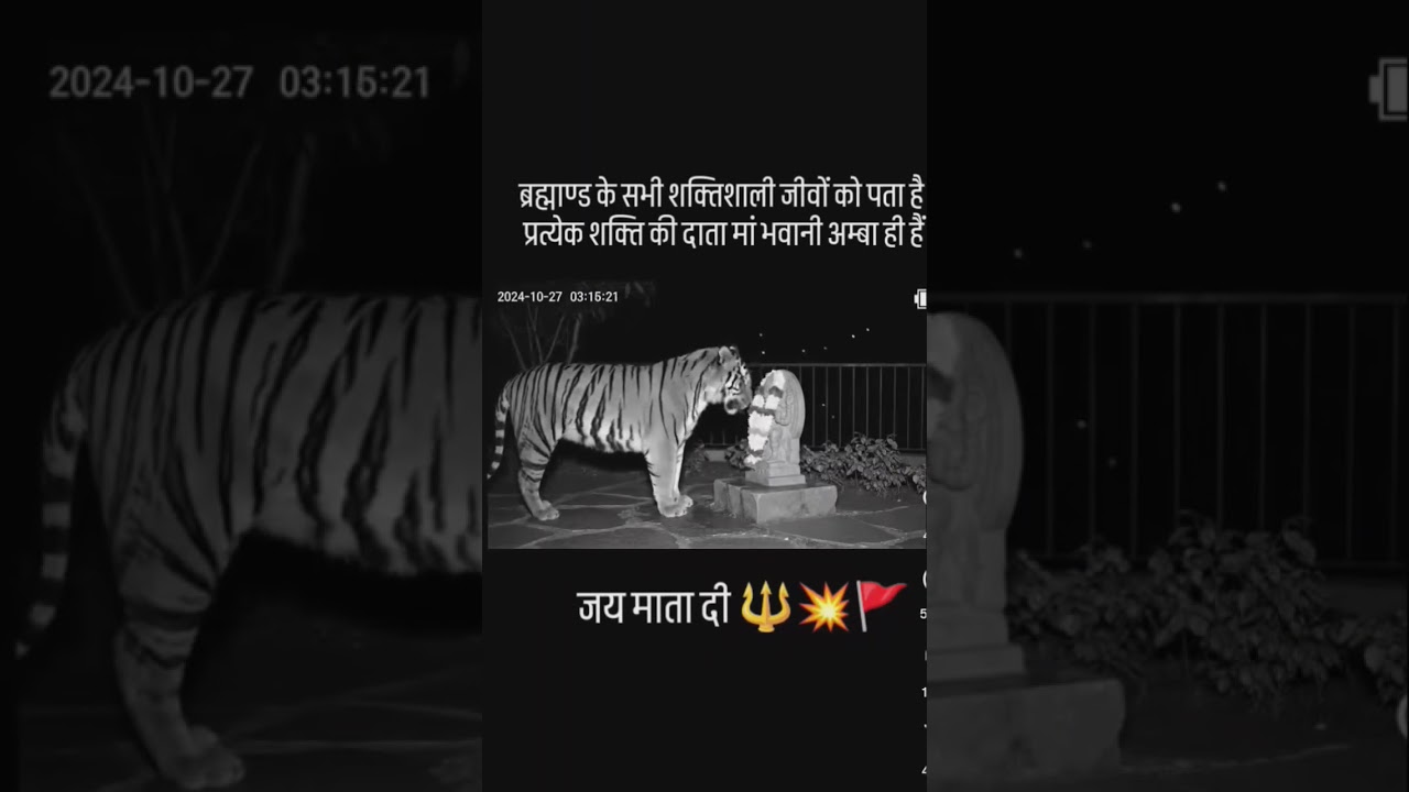 🙏Jay Maa Durga🙏