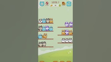 Cat Sort Puzzle 7 - Gameplay Walkthrough (iOS & Android) #shorts