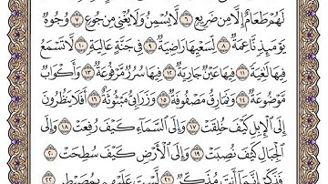 سورة الغاشية مكتوبة / محمد أيوب