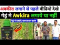 गेहूं में सभी खरपतवारों का 100% इलाज पूरा वीडियो देखें / gehun Mein kharpatwar niyantran kaise karen