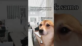 Psiapsi w pracy ♥️ #polska #memes #funny #duet #śmieszne  #memy  #para #humor #praca #przyjaciółki