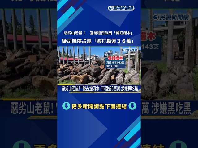 假種瓜真偷木! 山老鼠租西瓜田"藏紅檜木"掩人耳目－民視新聞