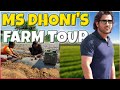 What's inside MS Dhoni's 40 Acre Integrated Agriculture Farm? Exclusive Farm Tour