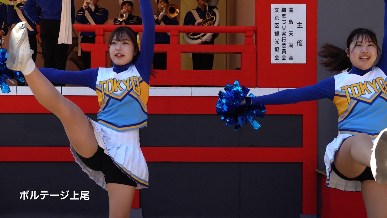 【湯島天神梅まつり】東京大学応援団チアリーダーのパフォーマンス