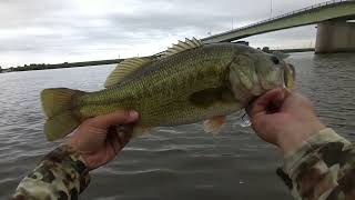 【フィニッシュブロー160】BIG BAIT = BIG BASS‼ ハイブリッドボディが生み出す、異次元の釣果