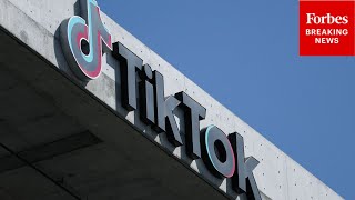 How Does TikTok's New Ownership Structure Work Following Sale Business Expert Explains