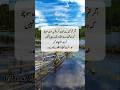 Aqwal Zareen| محبت اور تقدیر| QA Soul Official| #quotes #shorts #Urdu #اقوال # Urdu lines #Islam
