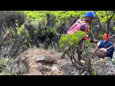 Comores — Descente dans le cratère du volcan Le Karthala