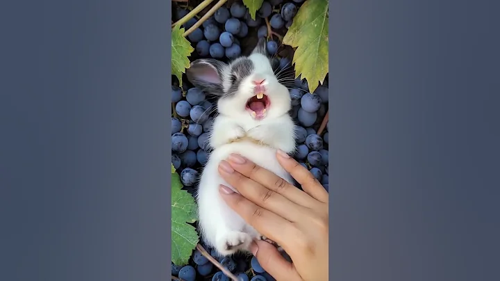 This Cute Little Rabbit 🐇 Loves to Laugh While Being Petted #cuterabbit #aigenerated  #cutepet