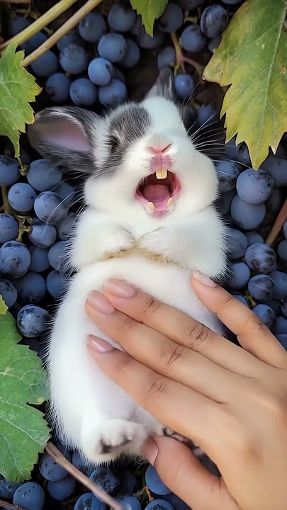 This Cute Little Rabbit 🐇 Loves to Laugh While Being Petted #cuterabbit #aigenerated  #cutepet