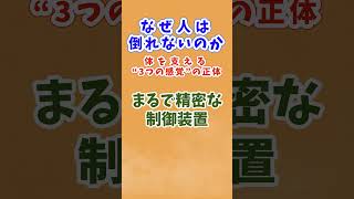 なぜ人は倒れないのか ― 体を支える“3つの感覚”の正体 ―