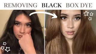 BLACK BOX DYE TO LIGHT BROWN HAIR || rUiniNG mY hAiR in QUaRanTine || diana nf