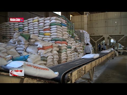 Video Xuất gạo dự trữ quốc gia hỗ trợ trường học ở xã đặc... - youtube