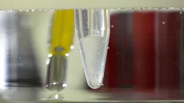 Rice University bioscaffold material degrades as bone grows to replace it