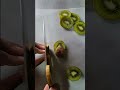 SOTA™ EDGE — Watch this Sharp Knife vs Kiwi 🥝 | Ep. 5