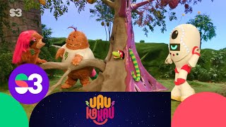 Poca vista - Uau Ka Kau