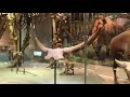 Dallas Part 2 دالاس Dallas Part 2 دالاس