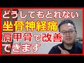 【坐骨神経痛の治し方】足の痺れは肩甲骨で解消　橿原市の整体